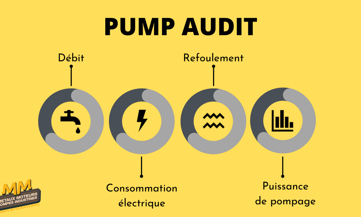 Audit de pompe / Pump audit / Pumpeaudit 🧐