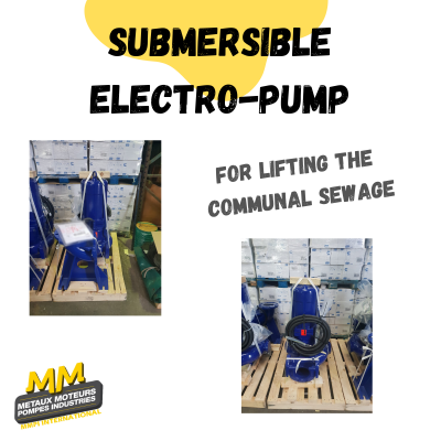 The submersible electro-pump / Pompes submersibles