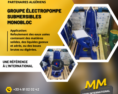 Livraison d’un groupe électropompe submersible pour nos partenaires industriels en Algérie.
