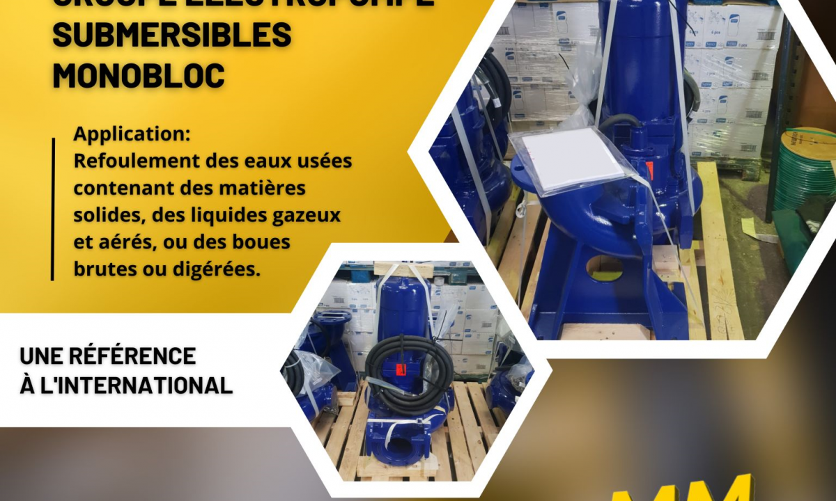MMPI International : Livraison d’un groupe électropompe submersible pour nos partenaires en Algérie