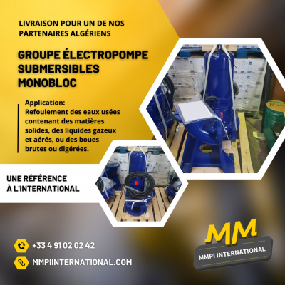 MMPI International : Livraison d’un groupe électropompe submersible pour nos partenaires en Algérie