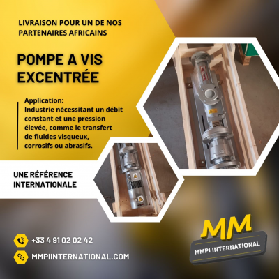 MMPI International : Livraison d’une pompe à vis excentrique à un client en Afrique.