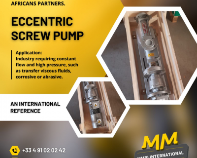 MMPI International : Delivery of an Eccentric Screw Pump to a customer in Africa.
