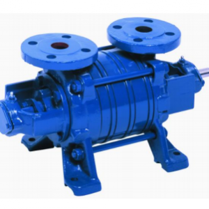 FLOWSERVE – Pompes à vide AKH (**)